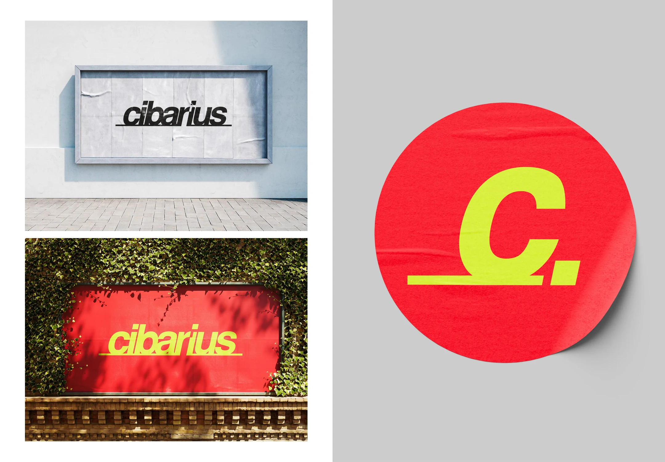 Studio proporzioni, pesi e gabbia costruttiva del logotipo Cibarius